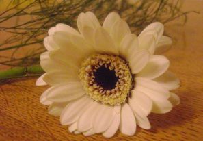 fleur